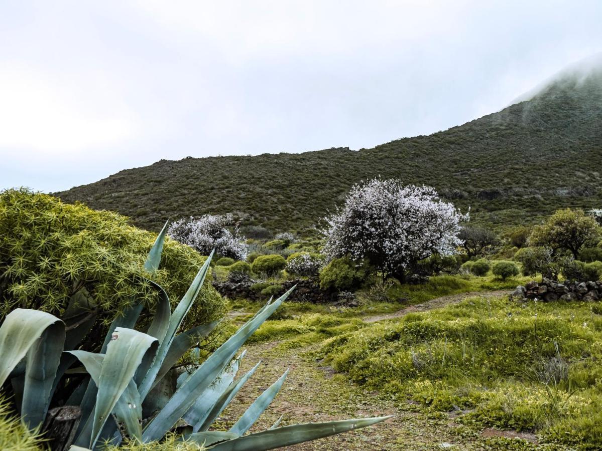 Luxury Villa In Nature With Swimming Pool Tenerife, Santiago Del Teide, With Sea And Mountain Views El Retamar Exterior foto
