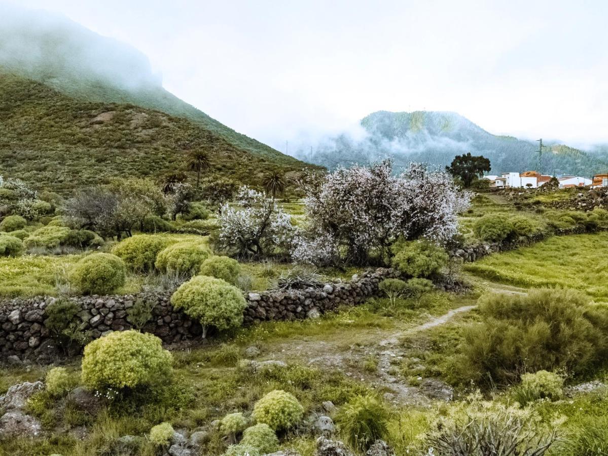 Luxury Villa In Nature With Swimming Pool Tenerife, Santiago Del Teide, With Sea And Mountain Views El Retamar Exterior foto
